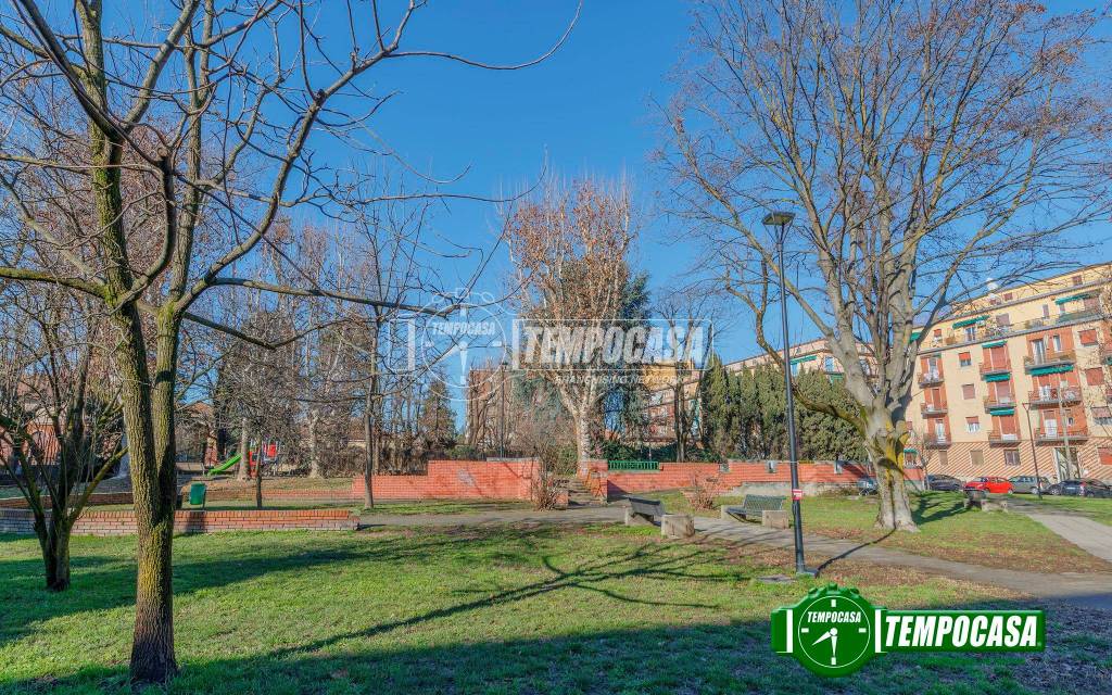 immagine annuncio 5 di 15