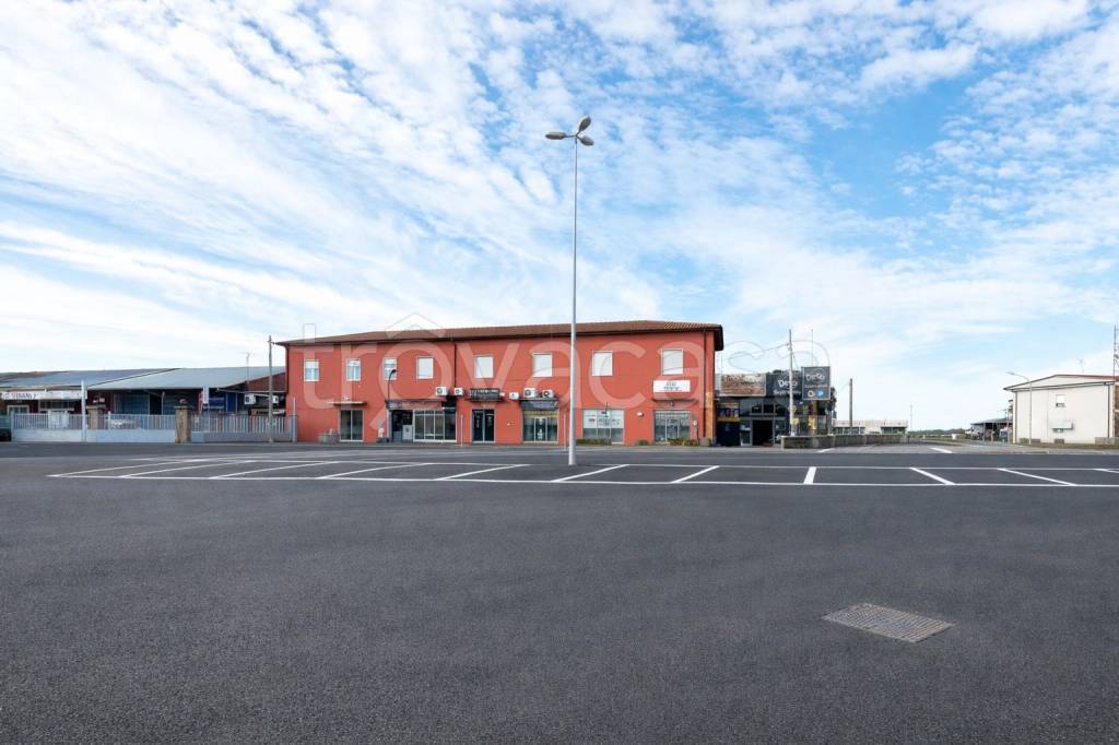 immagine annuncio 2 di 13