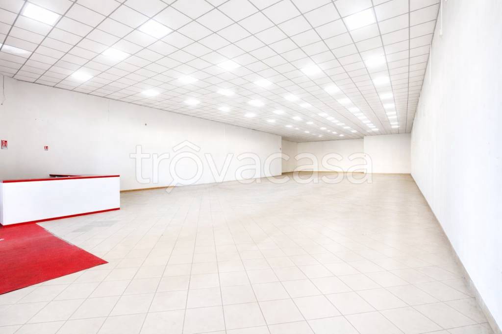 immagine annuncio 5 di 13