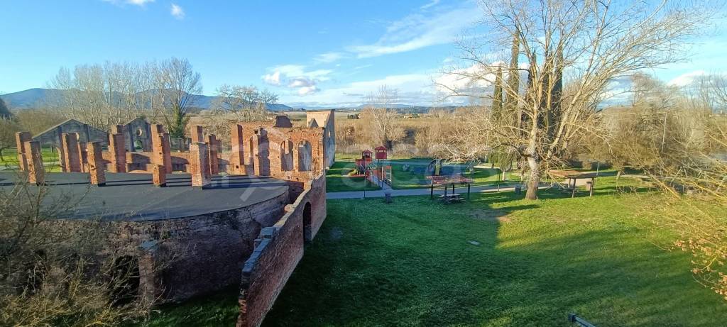 immagine annuncio 9 di 12