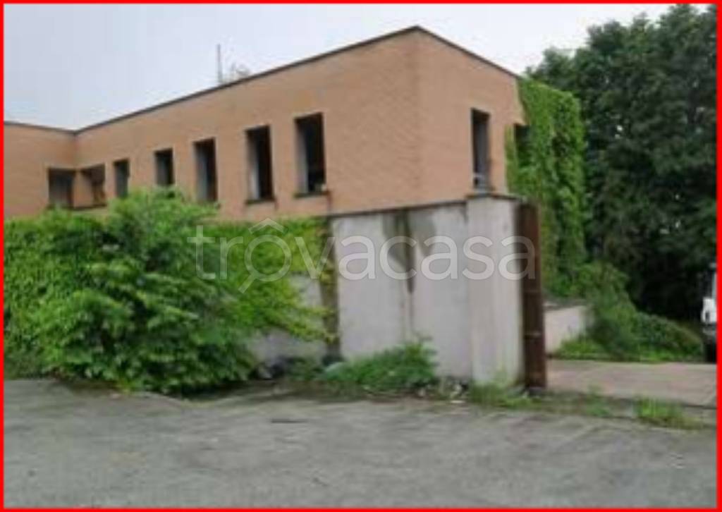 immagine annuncio 12 di 14