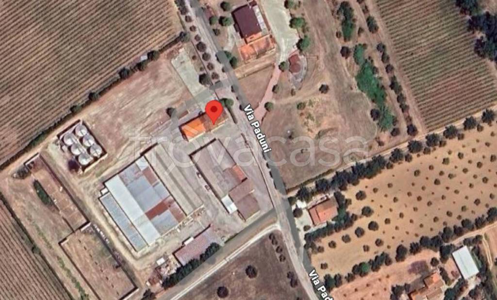 immagine annuncio 2 di 9