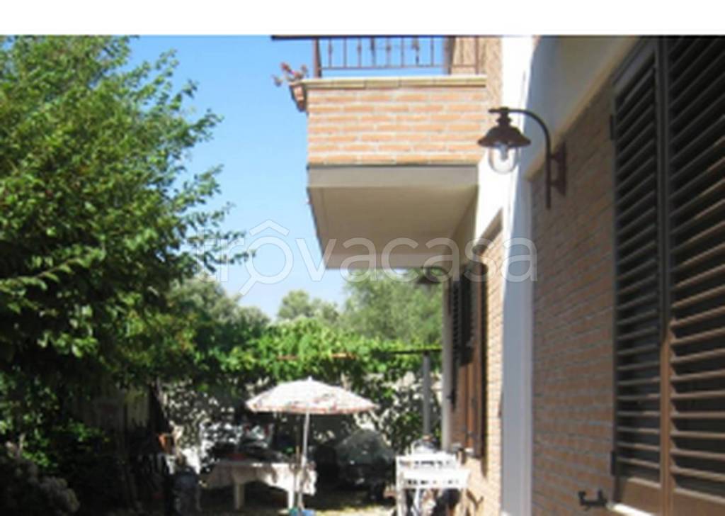 immagine annuncio 1 di 14