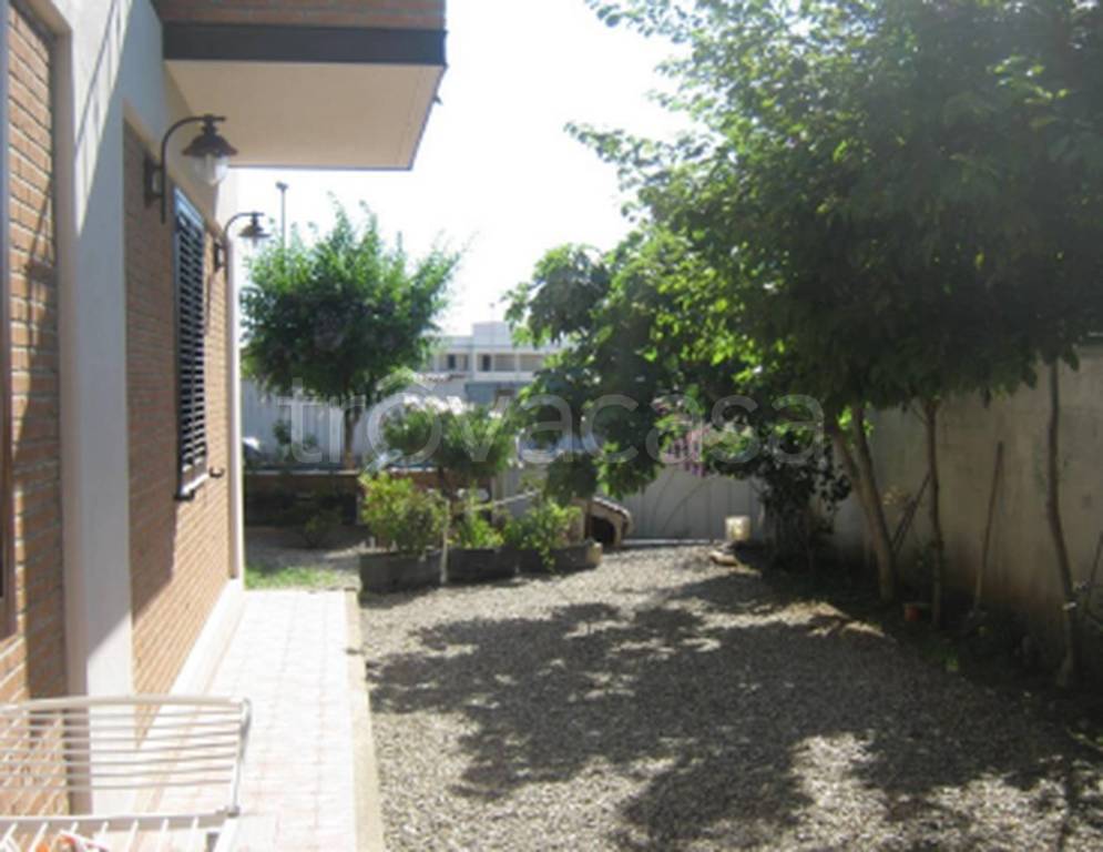 immagine annuncio 7 di 14