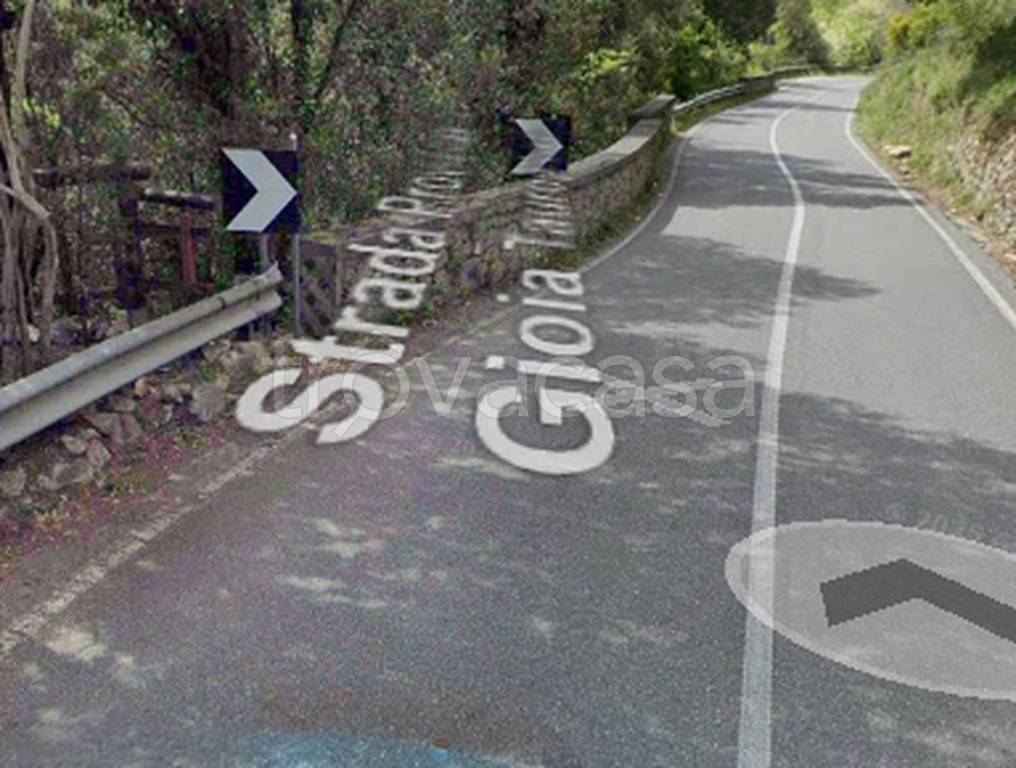 immagine annuncio 11 di 14