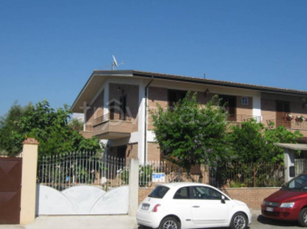 immagine annuncio 12 di 14