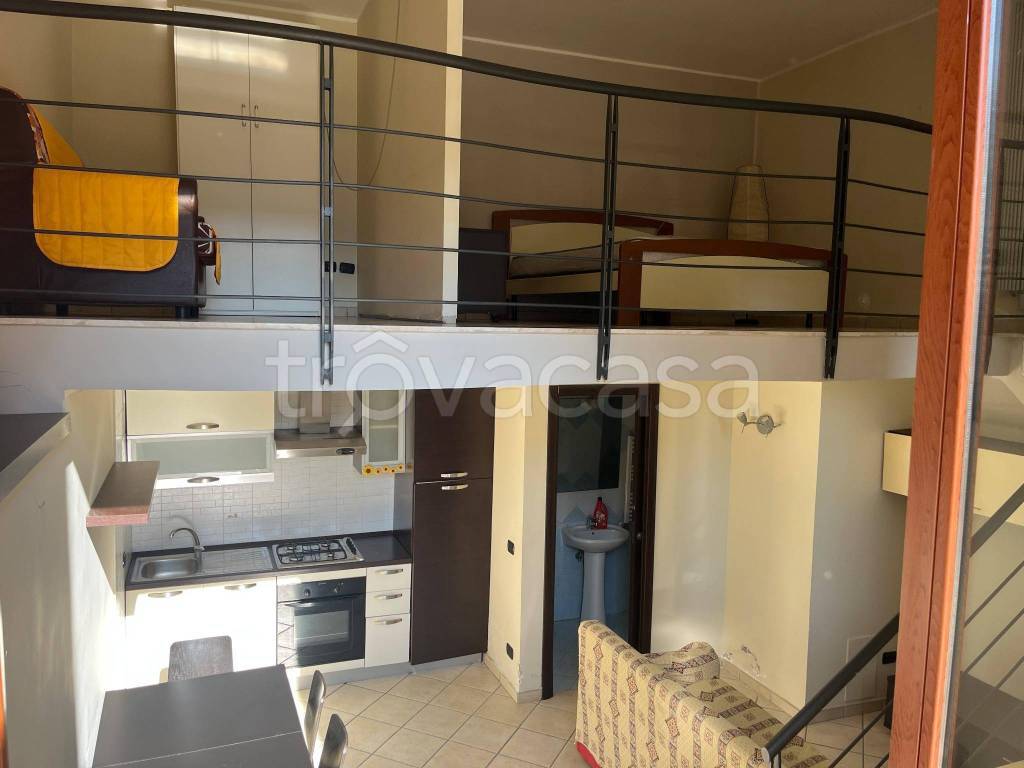 immagine annuncio 12 di 15