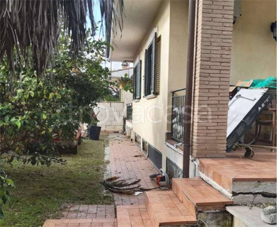 immagine annuncio 5 di 6