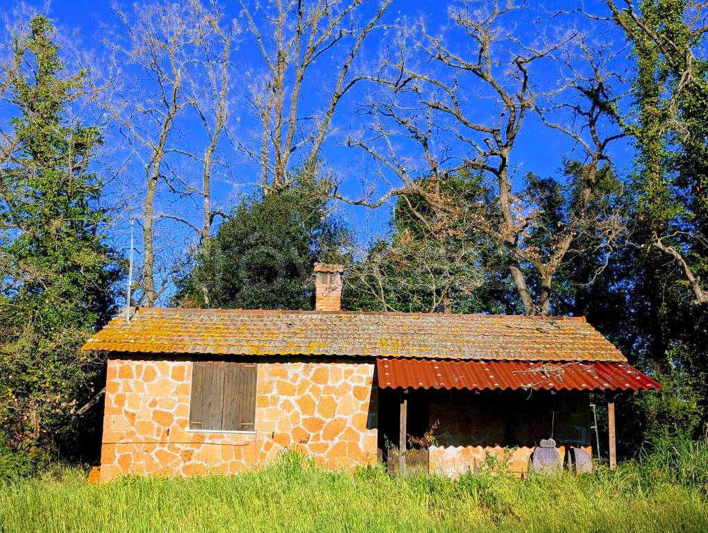 immagine annuncio 4 di 9