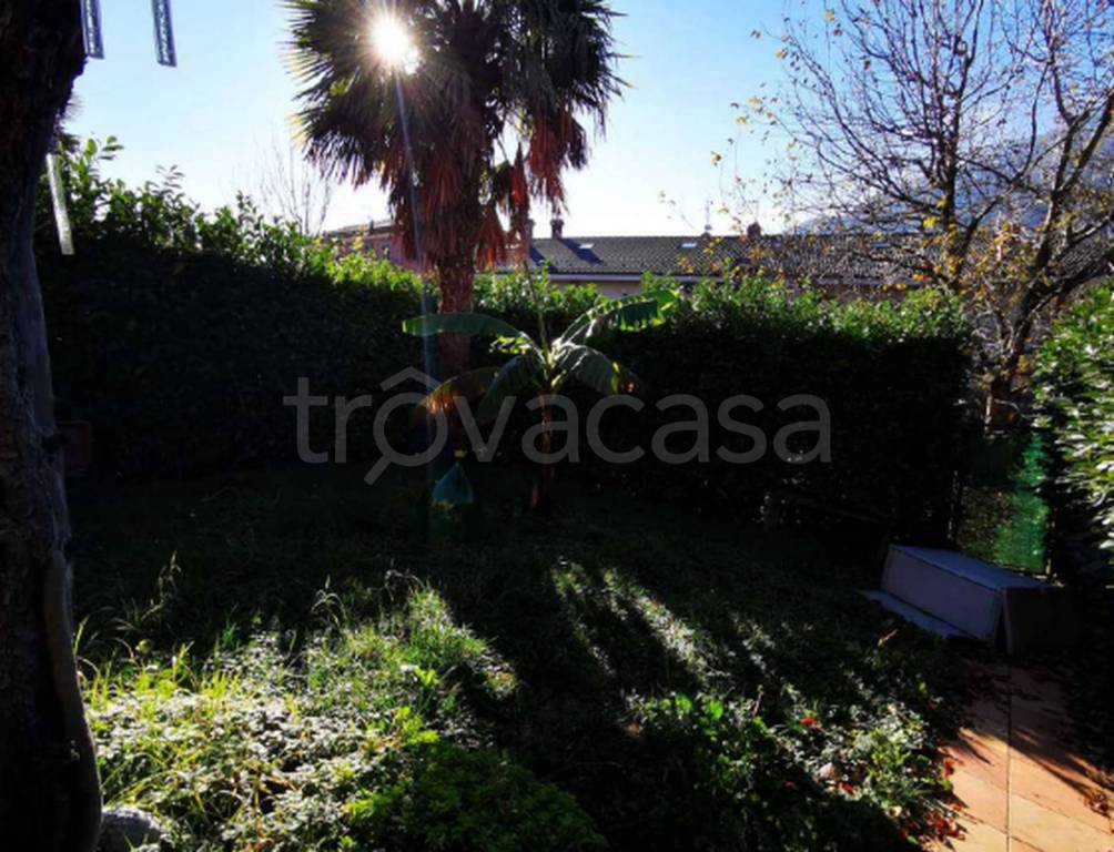 immagine annuncio 10 di 12