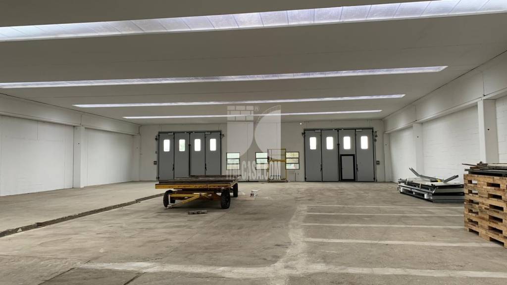 immagine annuncio 3 di 6