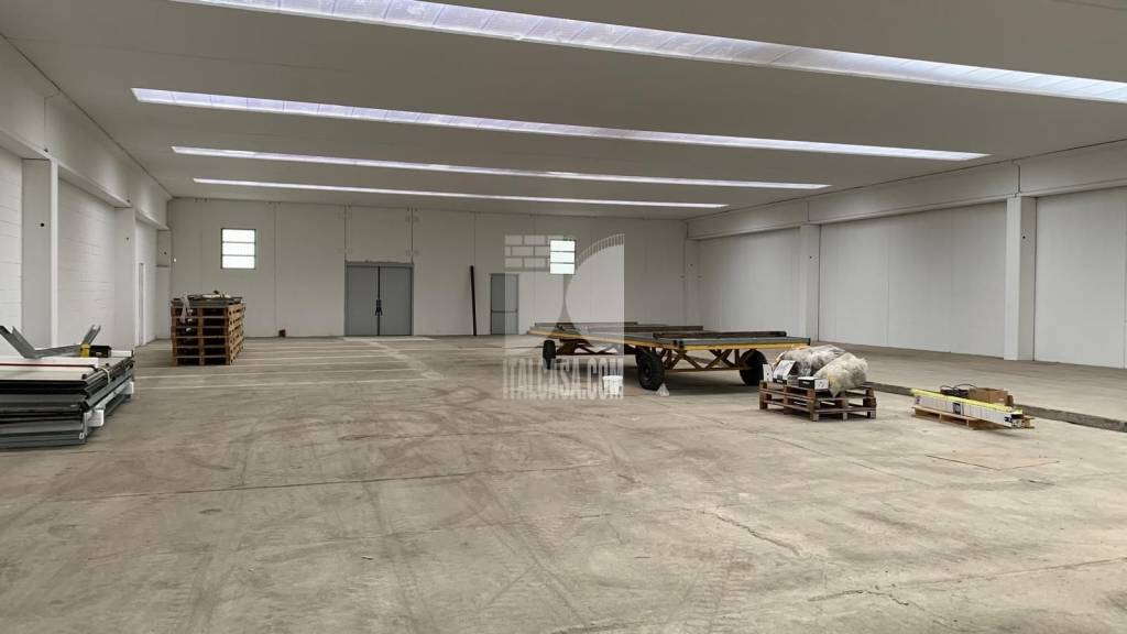 immagine annuncio 4 di 6