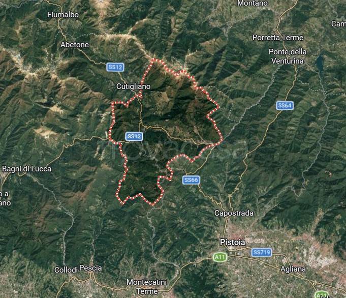 immagine annuncio 12 di 15