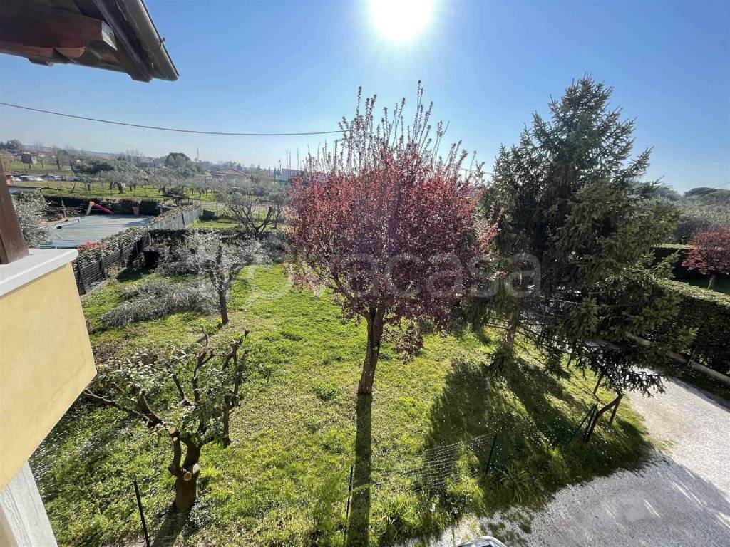 immagine annuncio 6 di 9