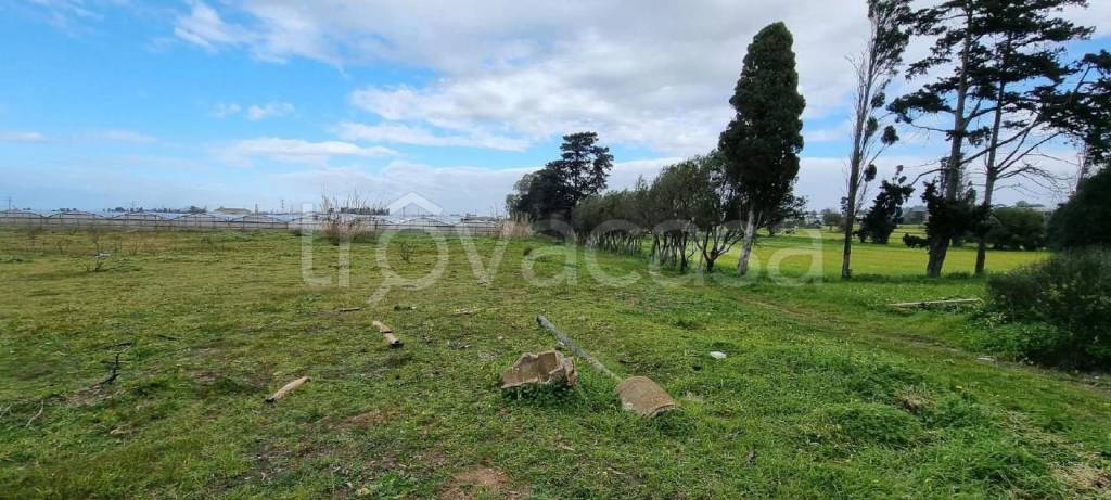 immagine annuncio 6 di 8