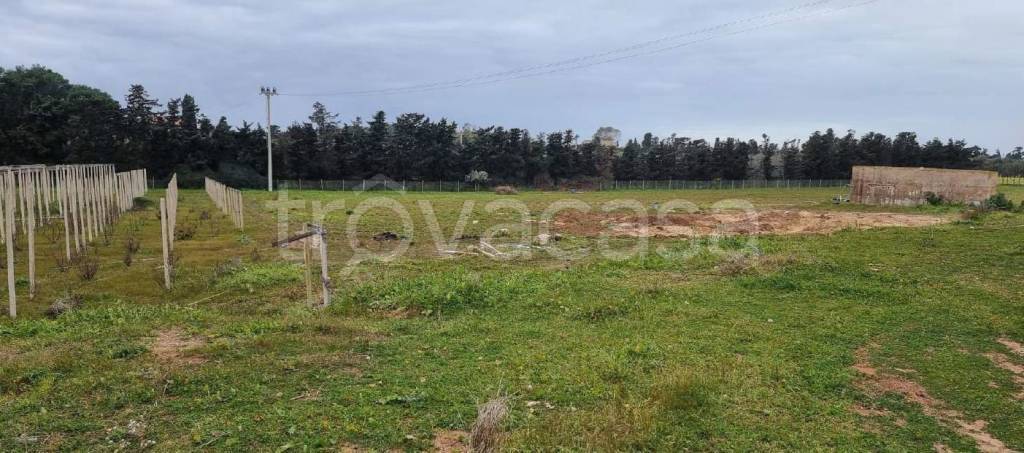 immagine annuncio 7 di 8