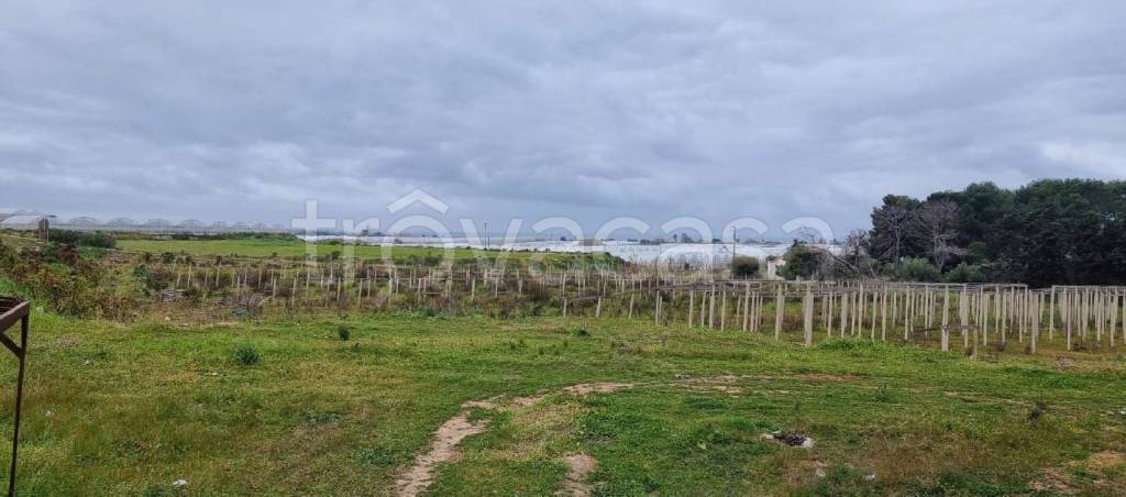 immagine annuncio 5 di 8