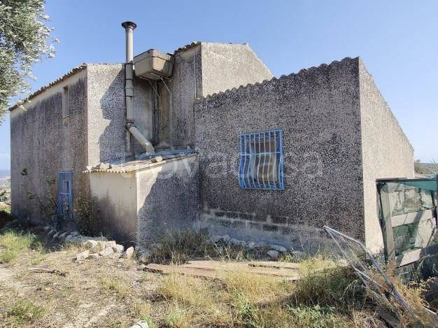 immagine annuncio 3 di 12