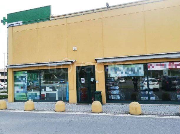 immagine annuncio 3 di 14