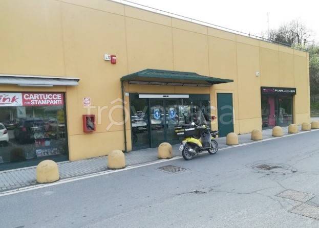 immagine annuncio 5 di 14