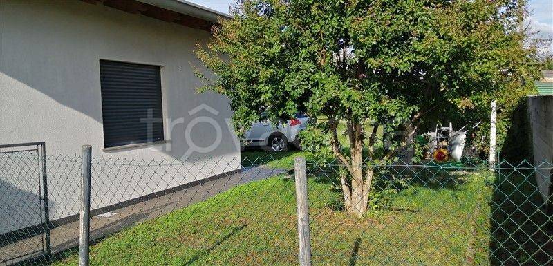 immagine annuncio 11 di 15