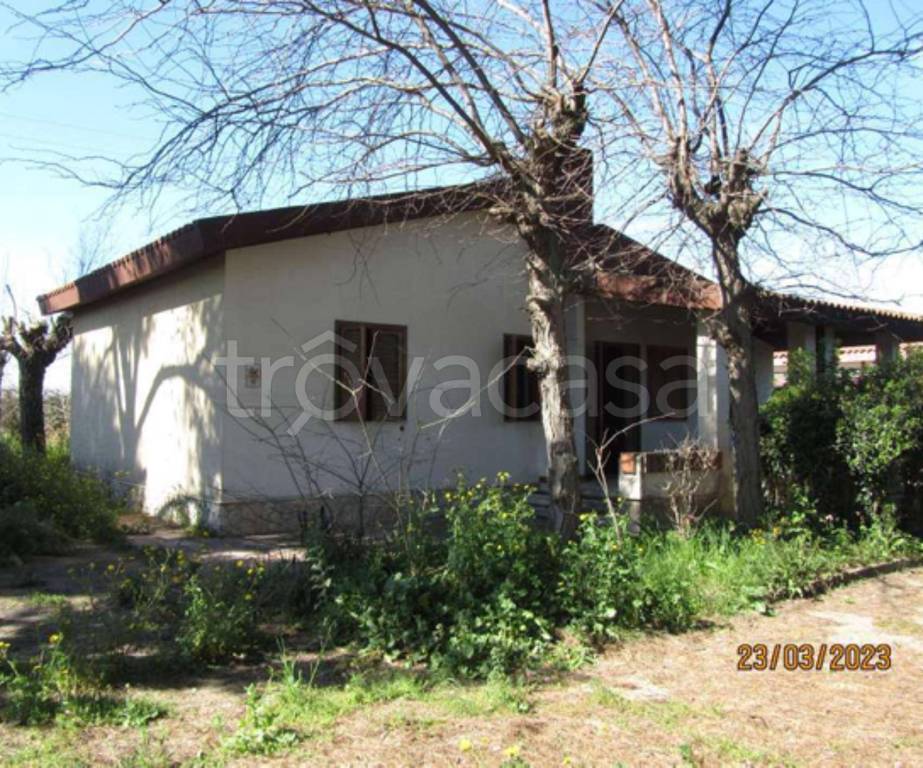 immagine annuncio 3 di 11