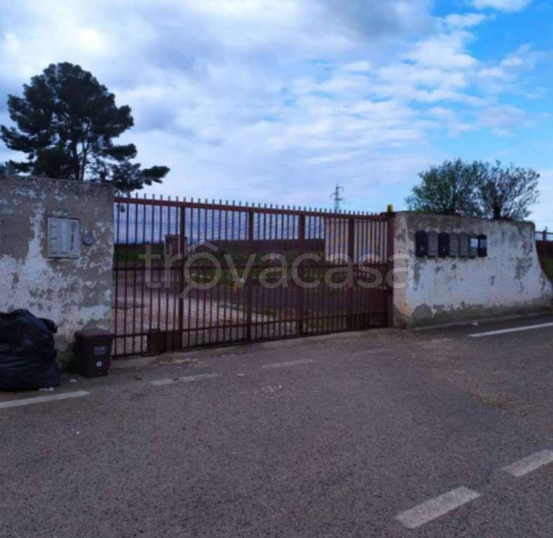 immagine annuncio 5 di 11