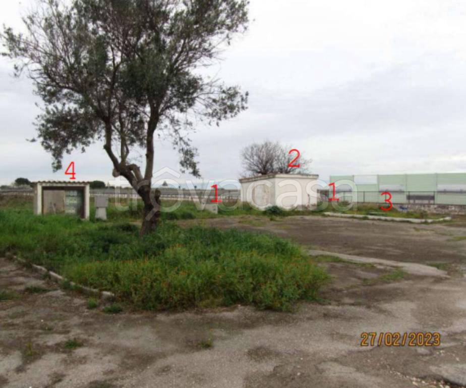 immagine annuncio 6 di 10