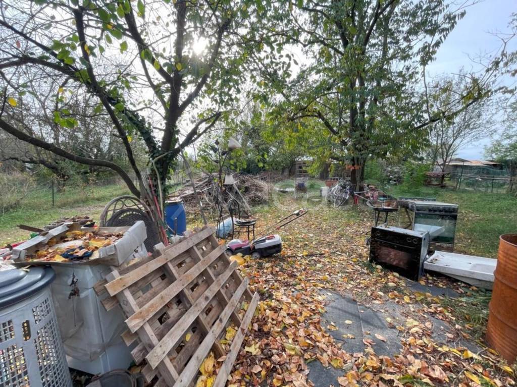 immagine annuncio 10 di 12