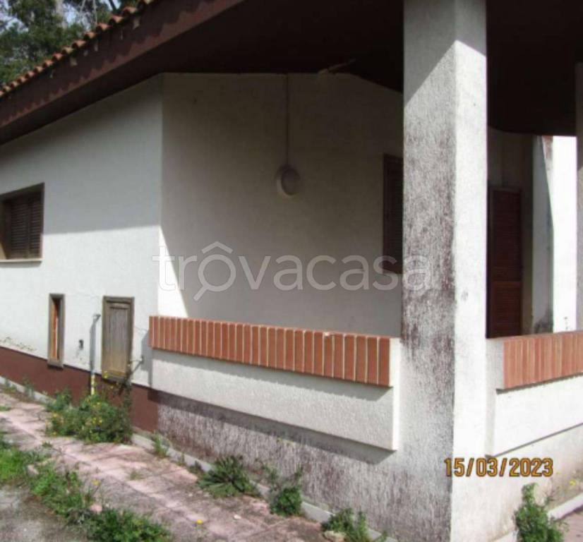 immagine annuncio 3 di 11