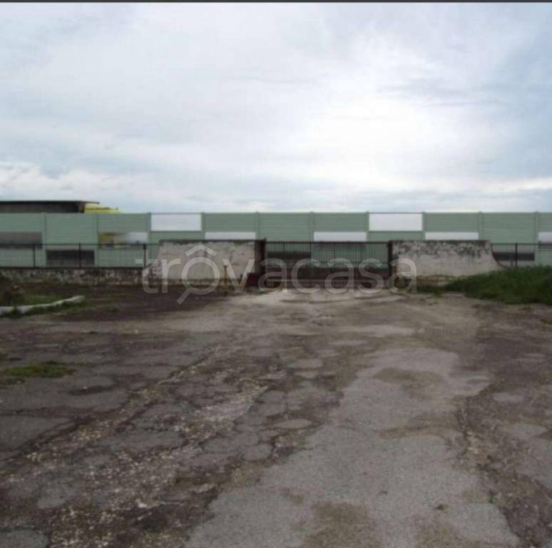 immagine annuncio 7 di 11