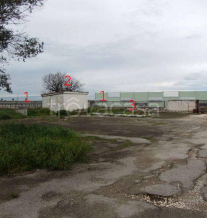 immagine annuncio 8 di 11