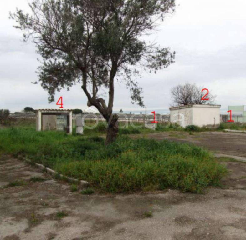 immagine annuncio 9 di 11