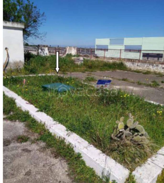 immagine annuncio 10 di 11