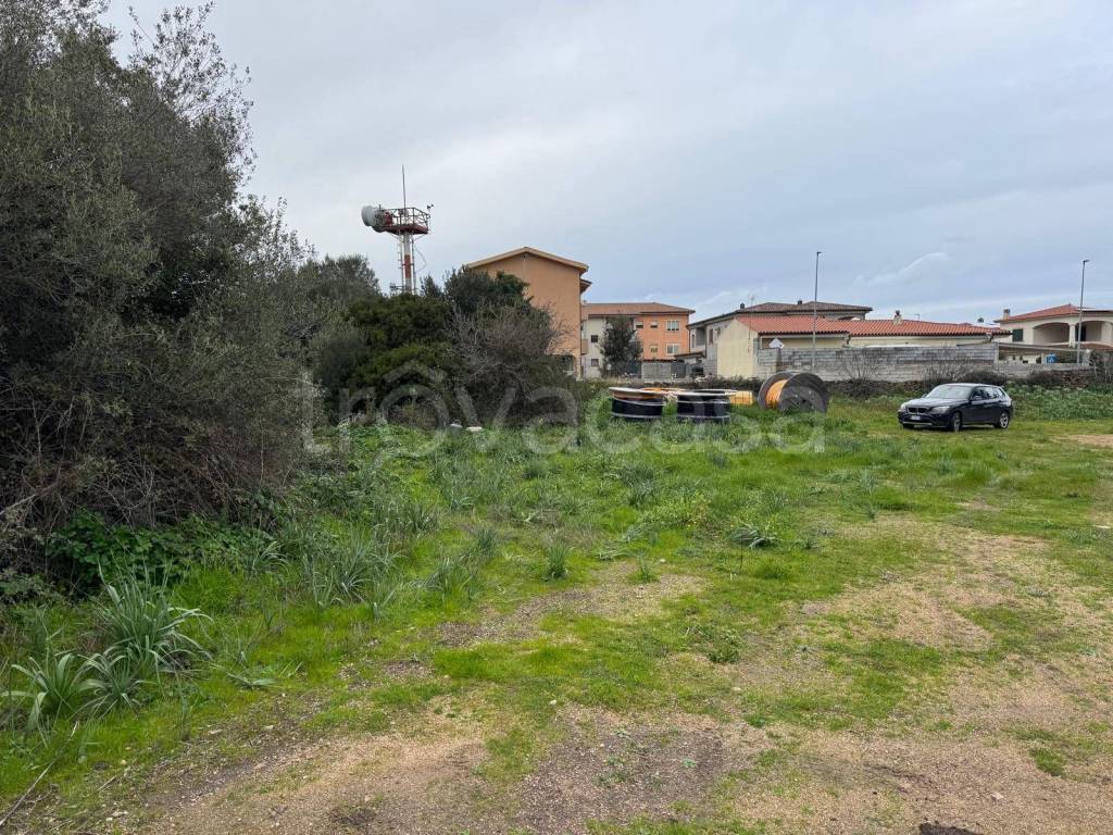 immagine annuncio 6 di 11