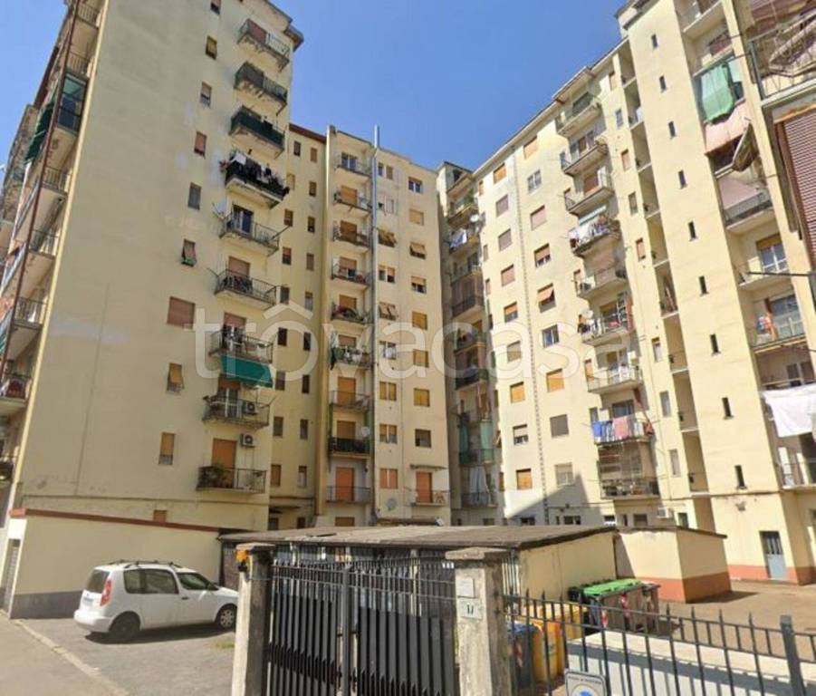 immagine annuncio 7 di 13