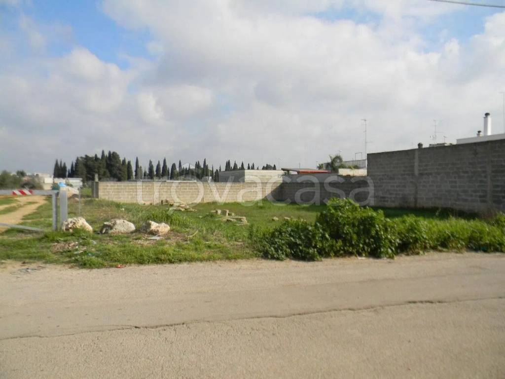 immagine annuncio 2 di 7