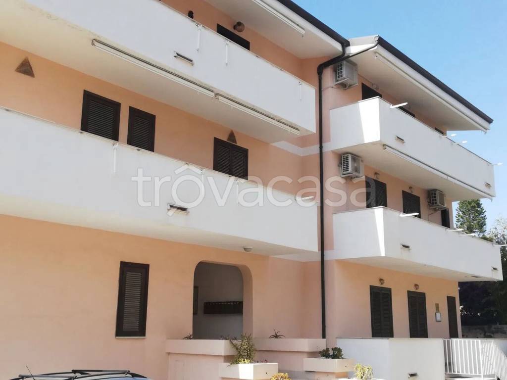 immagine annuncio 10 di 14