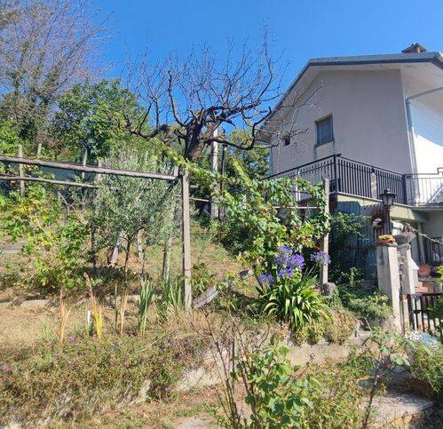 immagine annuncio 4 di 14