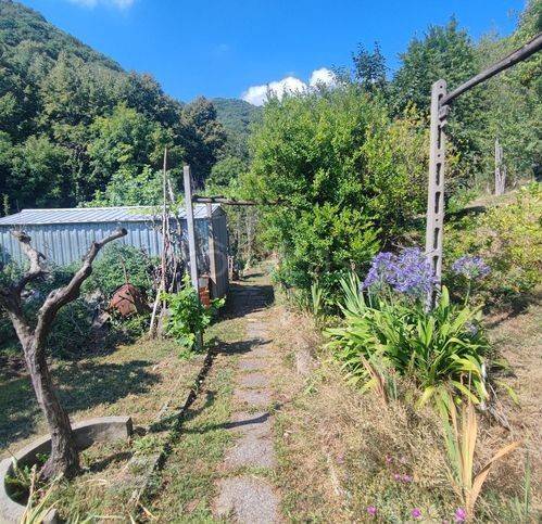 immagine annuncio 6 di 14