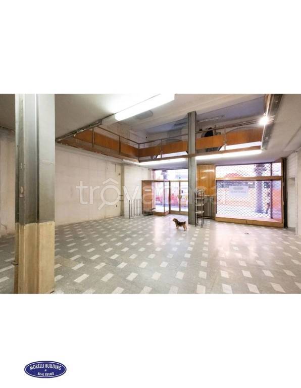 immagine annuncio 12 di 14