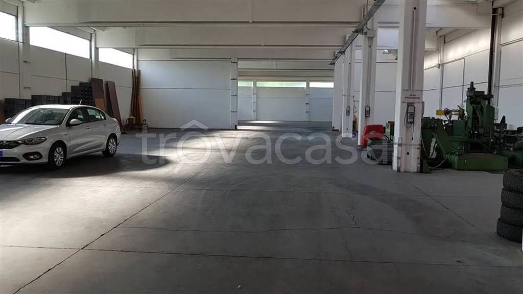 immagine annuncio 4 di 15