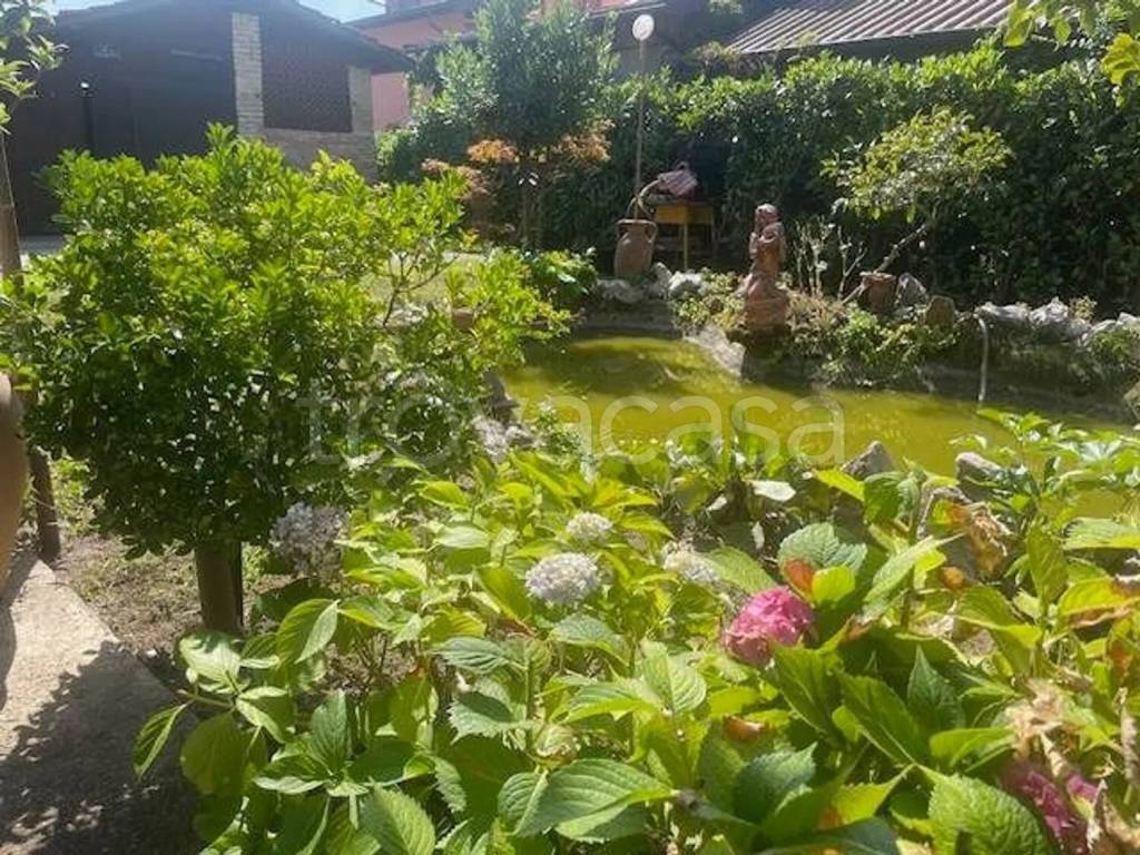 immagine annuncio 7 di 15