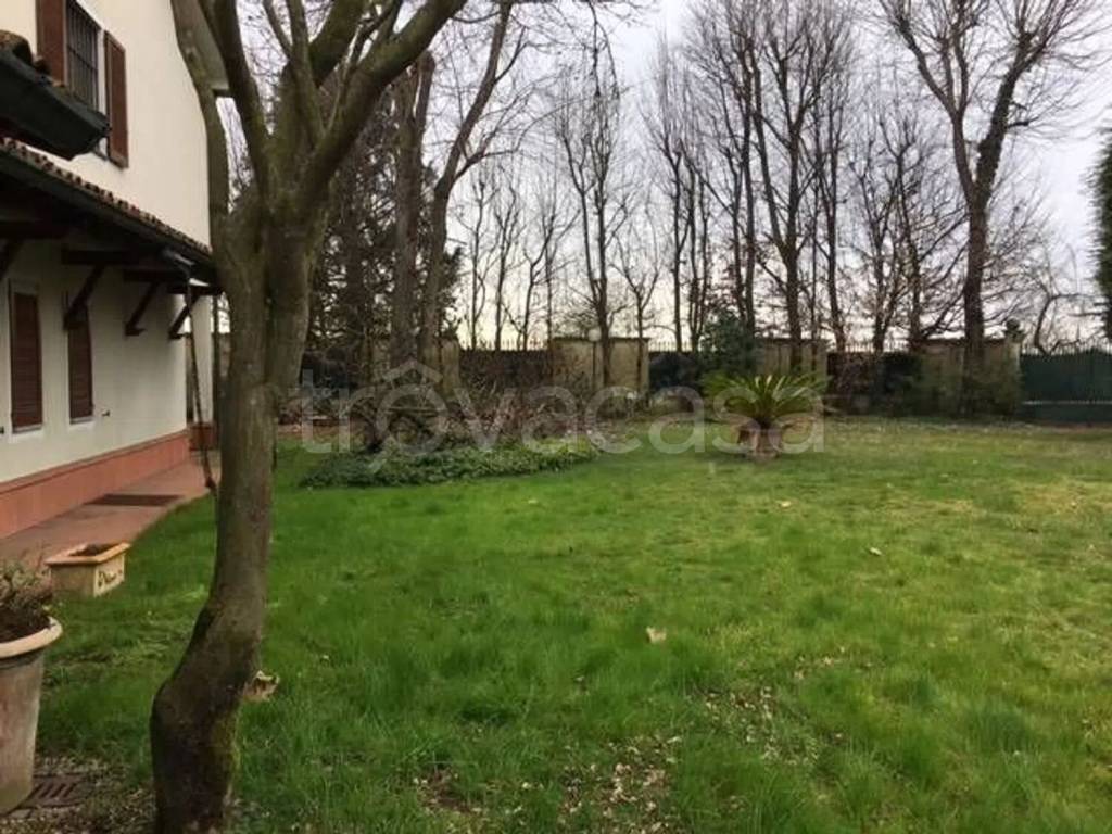 immagine annuncio 11 di 15