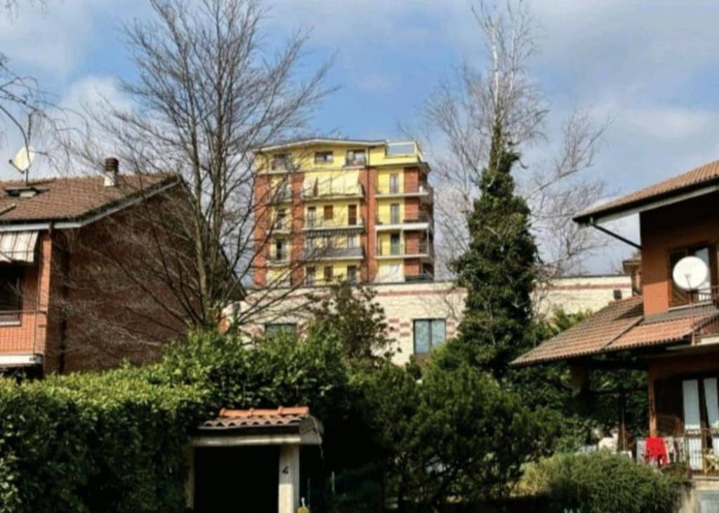 immagine annuncio 5 di 12