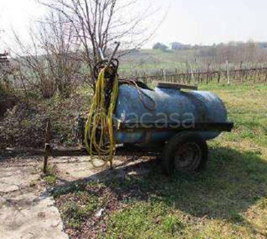 immagine annuncio 3 di 12