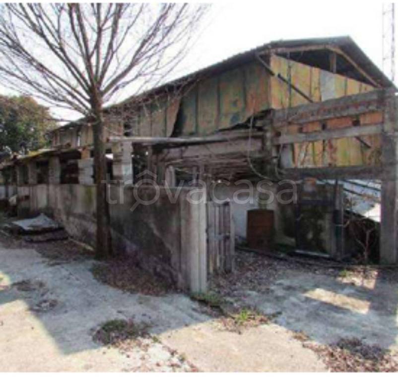 immagine annuncio 10 di 12