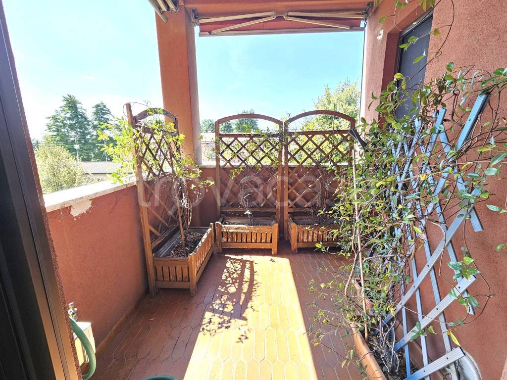 immagine annuncio 12 di 15