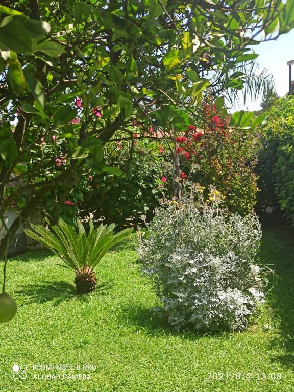 immagine annuncio 13 di 14