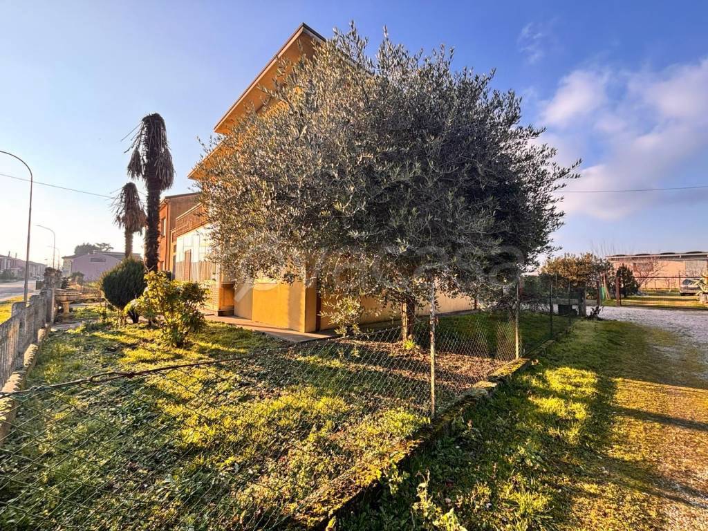 immagine annuncio 2 di 8